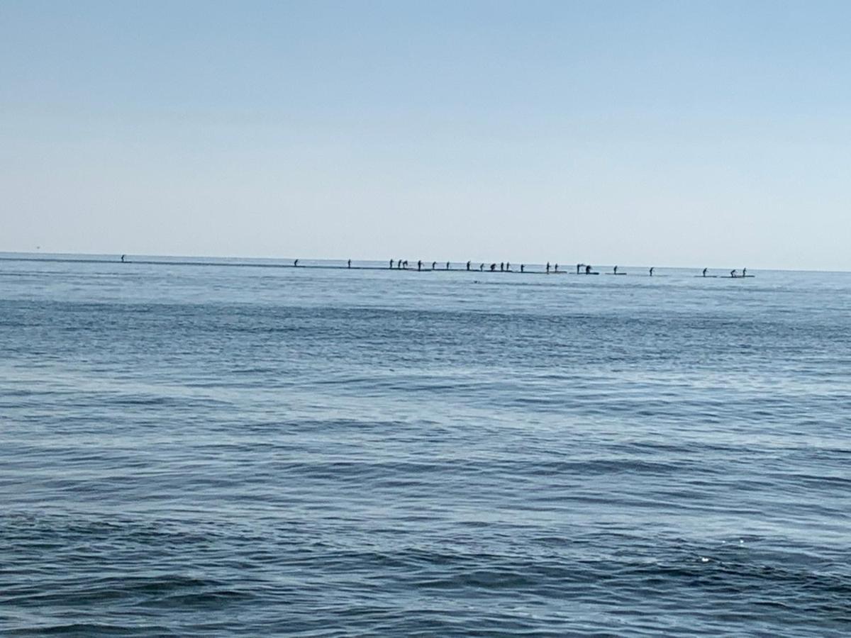 Apartamentoen La Playa, 200 Mts De La Playa Nuevo Santa Pola Kültér fotó